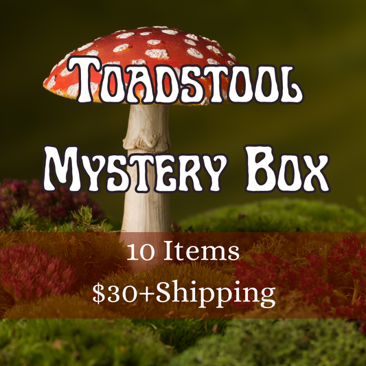 Toadstool Mystery Box
