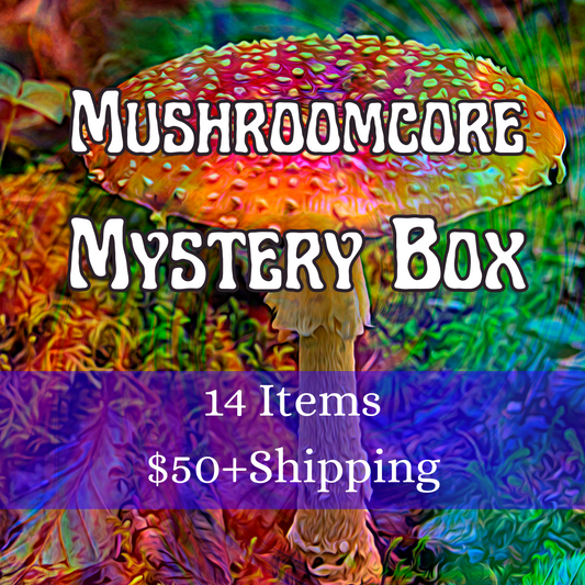 Mushroomcore Mystery Box